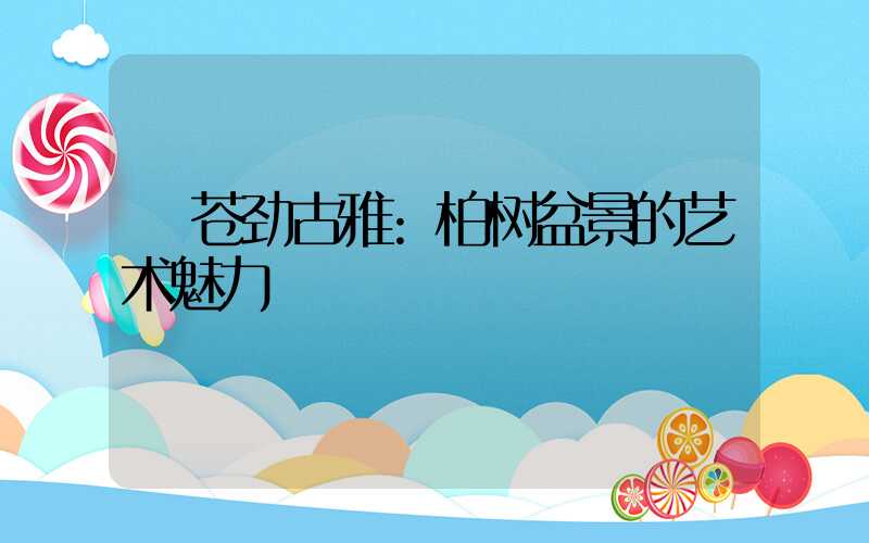 苍劲古雅:柏树盆景的艺术魅力